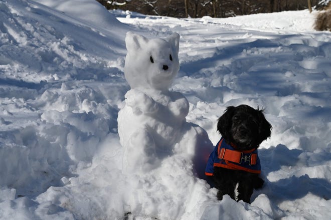A dog sits near a snow animal in Central Park in New York City on February 4, 2021.