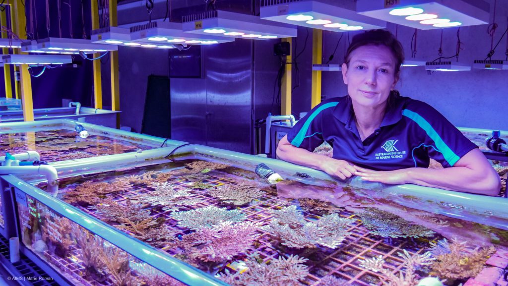 Paul G. Allen Family Foundation funds $7.2M in grants to shield coral reefs from decline