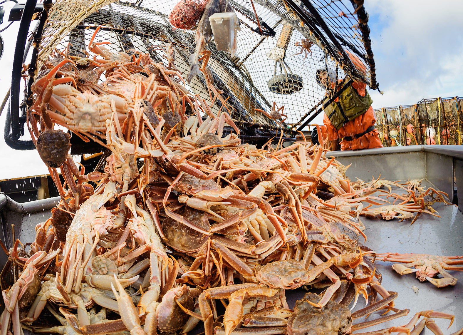 How an Alaskan fisherman saw potential for a sustainability startup in a mountain of crab shells